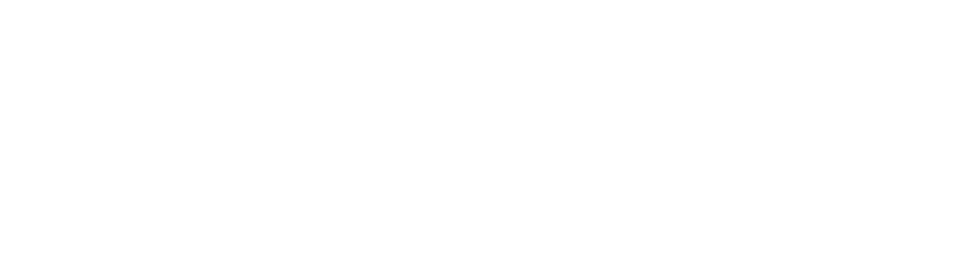 KIWI logo